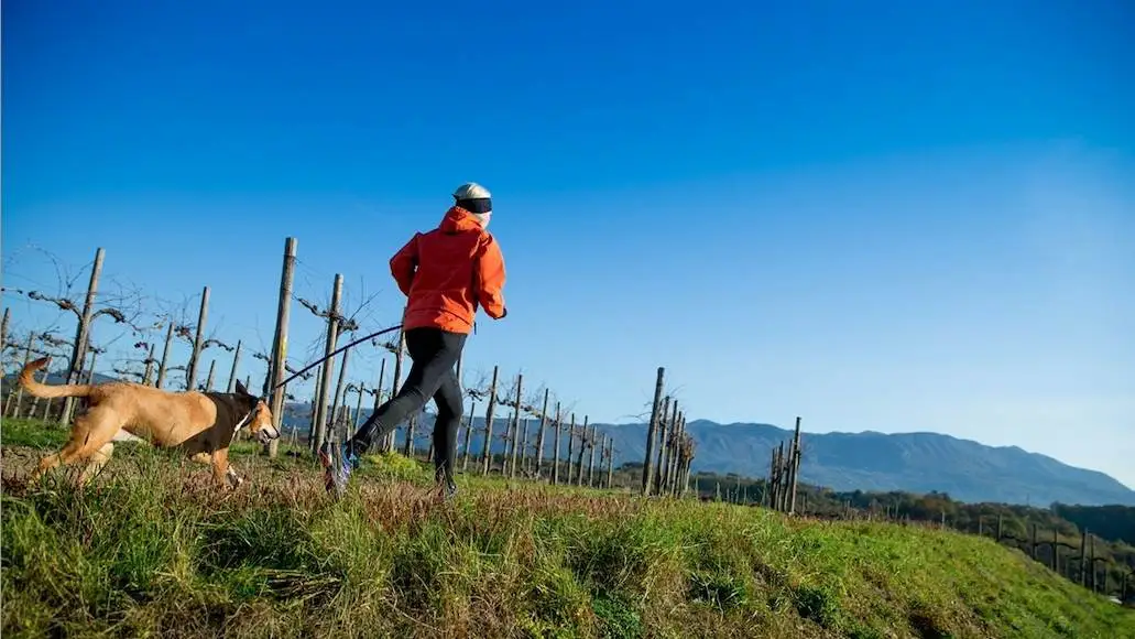 Ecco la Top Ten delle esperienze pi&ugrave; richieste nell'enoturismo