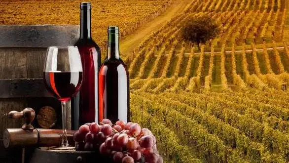 Vini del Monferrato, l&rsquo;exploit del Ruch&egrave;