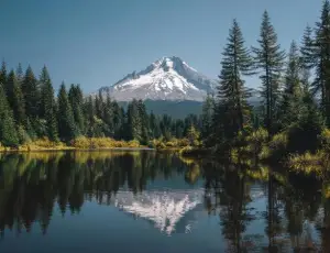 Packaging e riciclo: confermata la legittimit&agrave; della legge EPR dell&rsquo;Oregon