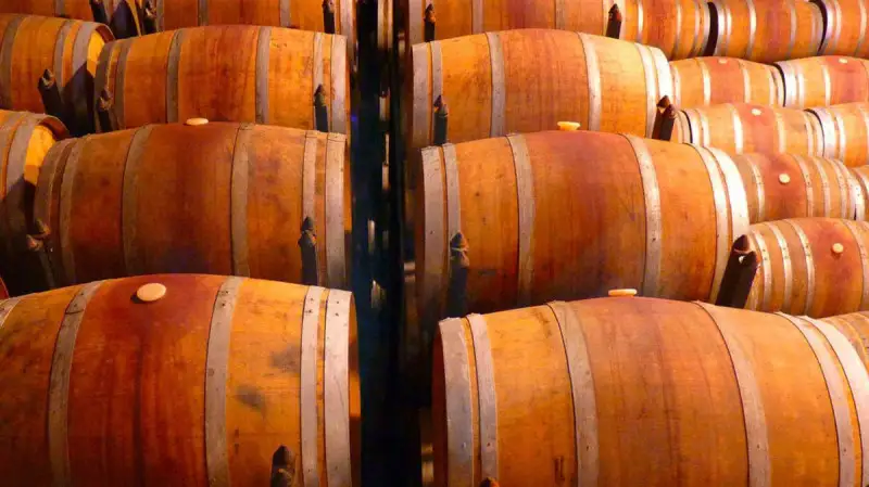 Cantina Italia, 70,4 milioni di ettolitri di vini e mosti in giacenza al 31 gennaio 2022