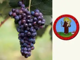 Riconoscimento per il Consorzio di tutela vino Friularo di Bagnoli DOCG e vini DOC Bagnoli