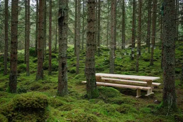L'ultima tendenza? È in Svezia, il cocktail do it yourself in mezzo alla natura