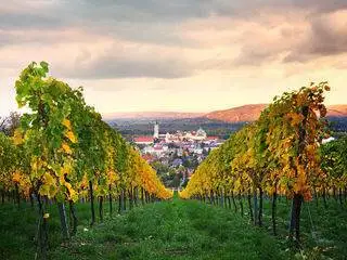 Austria, nuove denominazioni per la regione di Wagram