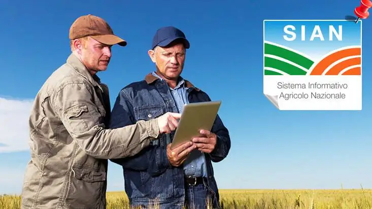 Accessi ai servizi online Sian: ecco quali credenziali servono