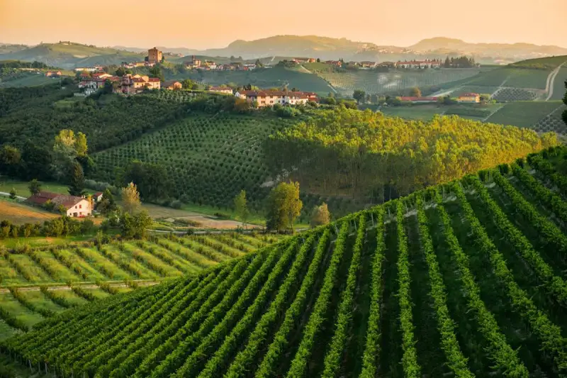 Ad Alba nel 2022 la Global Conference in Wine Tourism