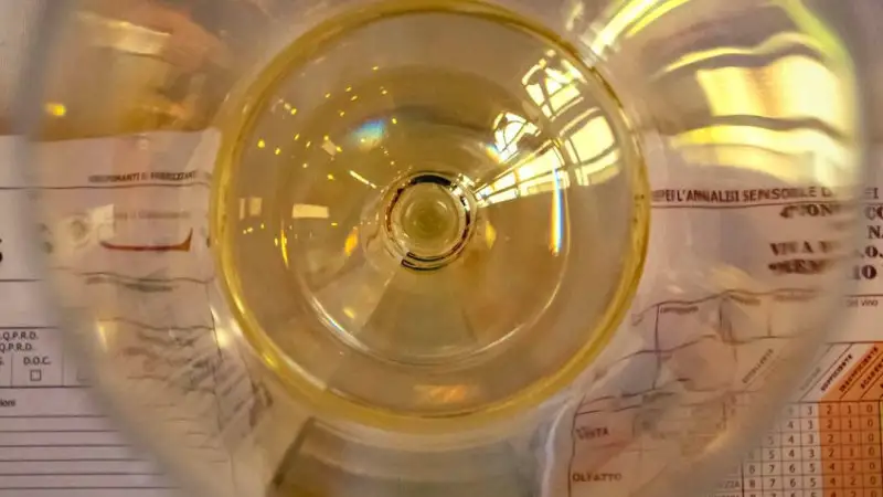 Vini naturali e non convenzionali: un nuovo master Onav