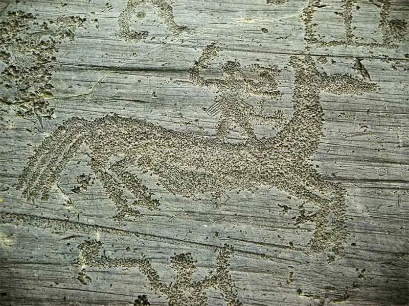 A spasso per la Valcamonica, tra vigne e vini