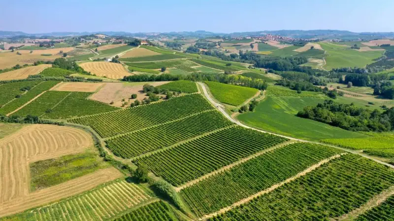 Il Ruch&egrave; fa "rete" e investe sul marketing territoriale