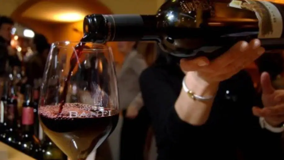 I mercati del vino post Covid: l'analisi del Comitato Nazionale Vini Dop e Igp