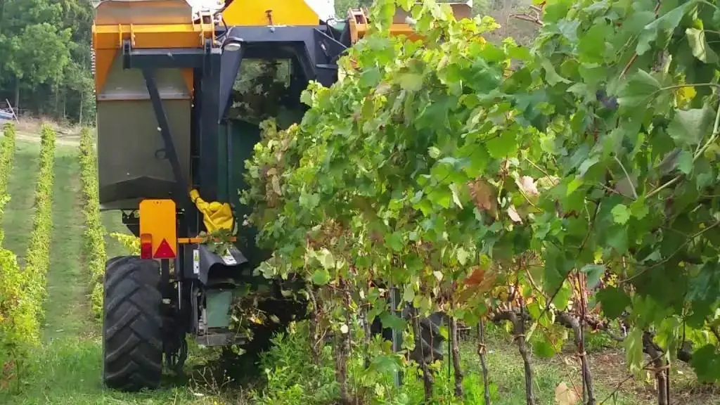 Investimenti nella filiera agroalimentare: domande a Ismea per 338 milioni di euro