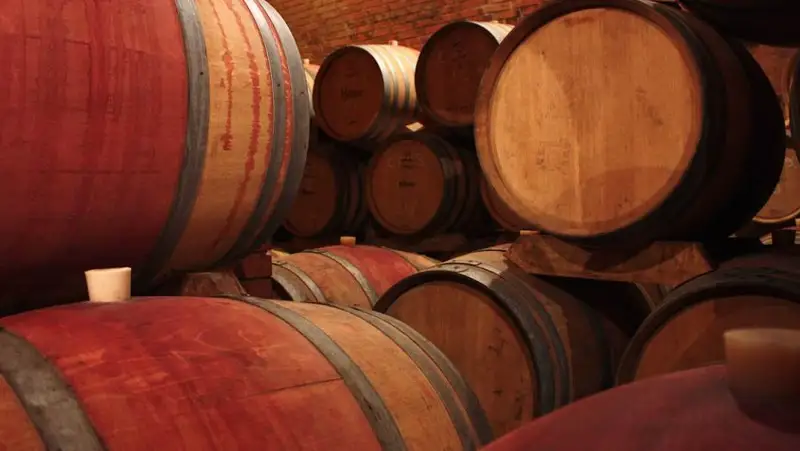 Movimento Turismo del Vino, festeggiati i 30 anni di attivit&agrave;