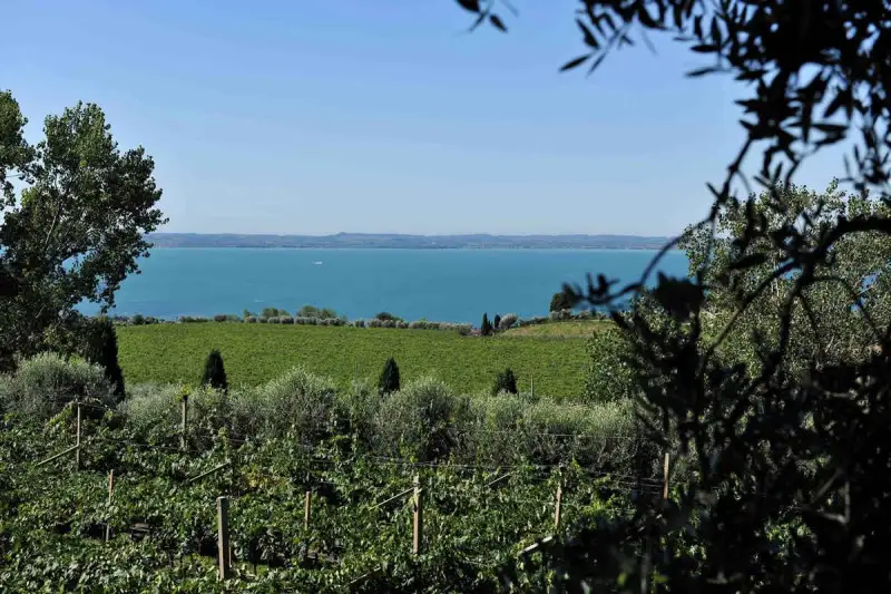 Parco Agrisolare: pubblicato l&rsquo;elenco dei beneficiari