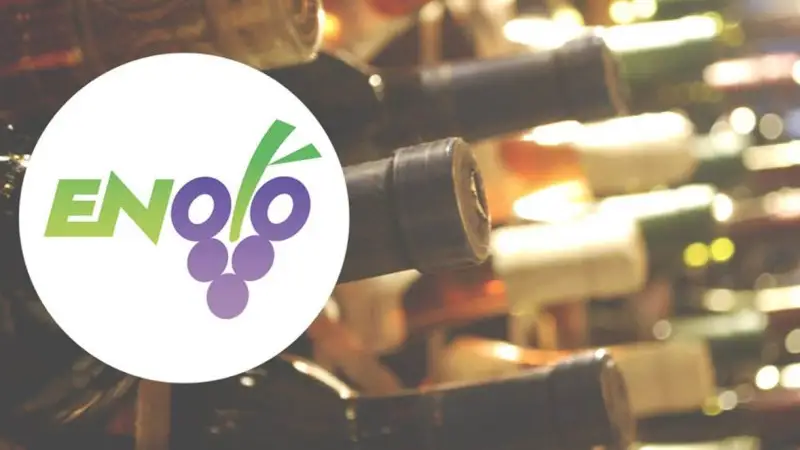 Nasce la carta digitale dei vini per ripartire in sicurezza