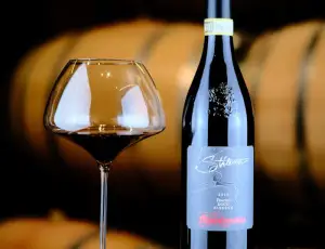 Stil&egrave;ma Taurasi DOCG Riserva &ldquo;Vino dell&rsquo;Anno&rdquo; per Wine Enthusiast, la prima volta per un vino del Sud