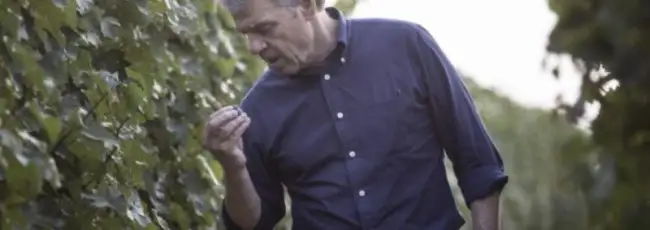 A Renzo Cotarella il &ldquo;Winemakers&rsquo; Winemaker Award&rdquo; 2026 dell&rsquo;Institute of Masters of Wine