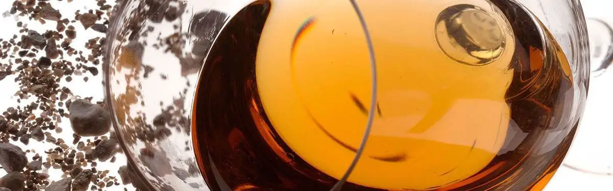 Sulla Strada della Grappa in Trentino