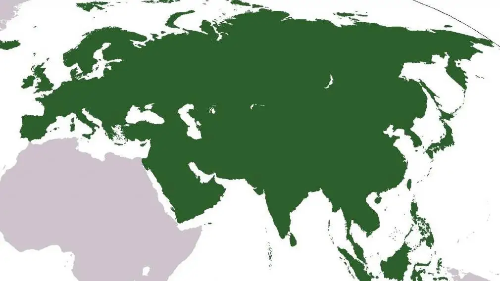 Rinviato al gennaio 2022 il Regolamento tecnico dell'Unione doganale eurasiatica