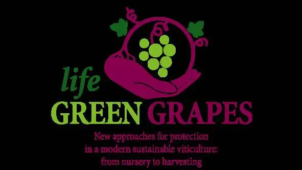 Crea, studio triennale Green Grapes conferma riduzione dei fitofarmaci del 50%