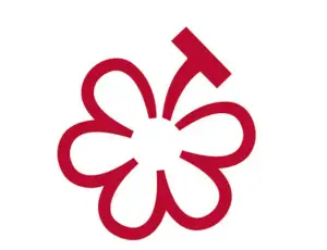 Nasce Michelin Grapes, la guida ai migliori vini del mondo