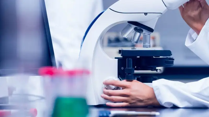 Pubblicato l'elenco dei laboratori italiani autorizzati al rilascio dei certificati di analisi ufficiali nel settore vitivinicolo