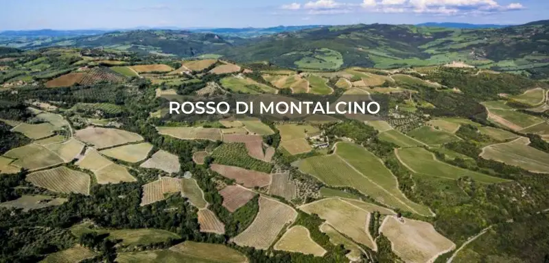 Rosso di Montalcino: via libera all&rsquo;ampliamento, 3 milioni di bottiglie in pi&ugrave;