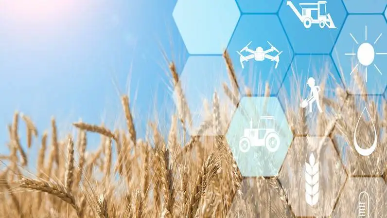 Mipaaf, presentato il Piano Strategico Nazionale della nuova Pac