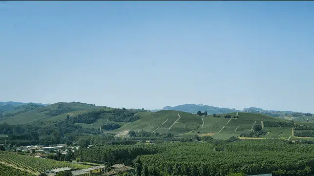 Nuove regole sull'etichettatura degli allergeni per alimenti in Australia e Nuova Zelanda