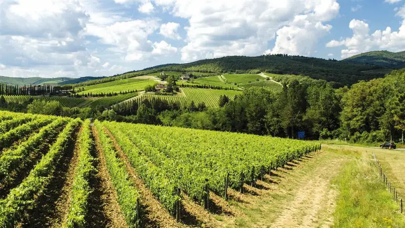 Agea rettifica le precedenti istruzioni operative