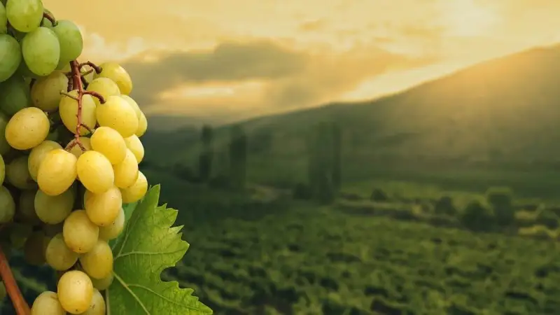 Spostato il termine per il bilancio di materia ed energetico. Passo avanti nella semplificazione