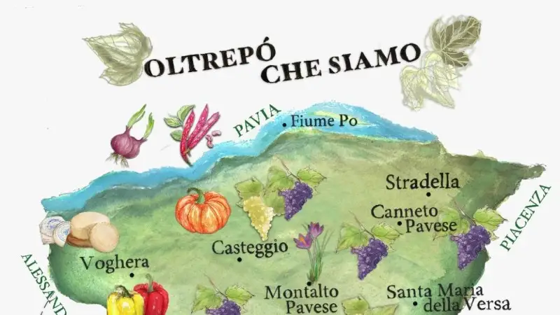 "L'Oltrepò che Siamo": il primo sito web di storytelling dedicato al territorio pavese