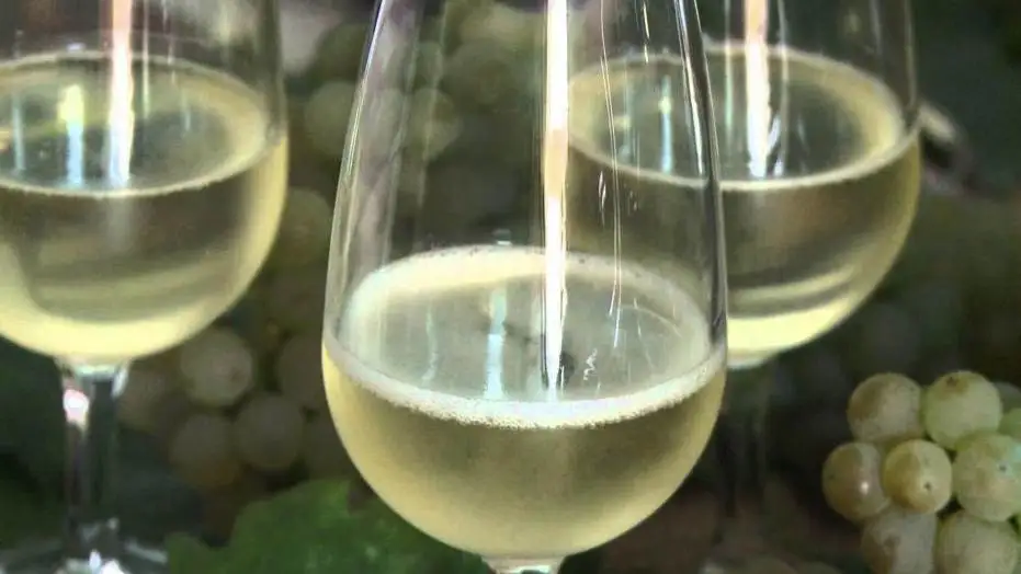 Docg Greco di Tufo e Fiano di Avellino, proposte modifiche al disciplinare