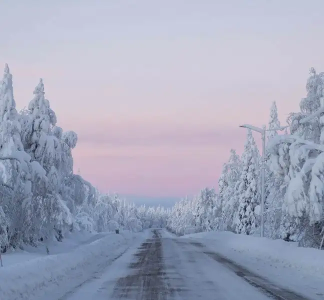 Ecco perch&eacute; potremmo presto bere pi&ugrave; vino svedese