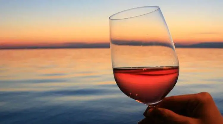 The Wine Edition Wines from Spain