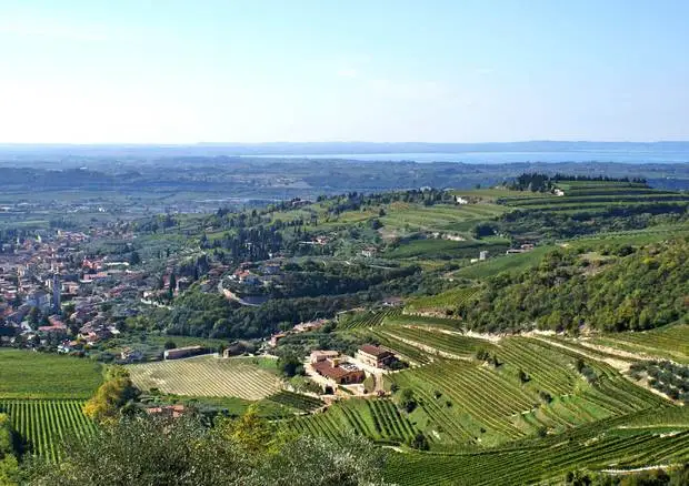 Patuanelli firma i decreti: 5 nuovi "Paesaggi rurali"