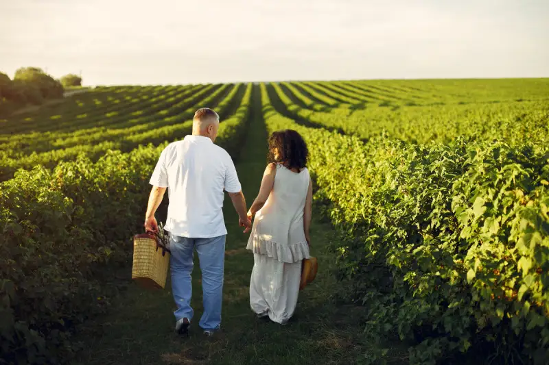 Vino e territorio protagonisti del weekend con Cantine Aperte 2025