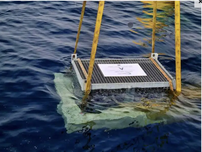 Cantina subacquea in adriatico per i vini molisani