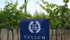 Via libera Ue alle modifiche sul disciplinare Docg Terre tollesi/Tullum