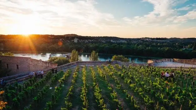 Il Clos de la Vigne du Palais des Papes &egrave; la nona vigna urbana dell&rsquo;U.V.A.