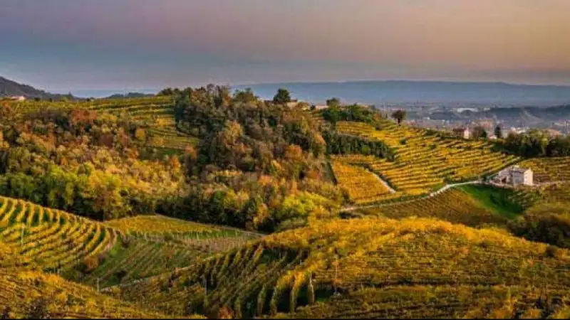 Prosecco Doc: nel 2022 export oltre l&rsquo;80%