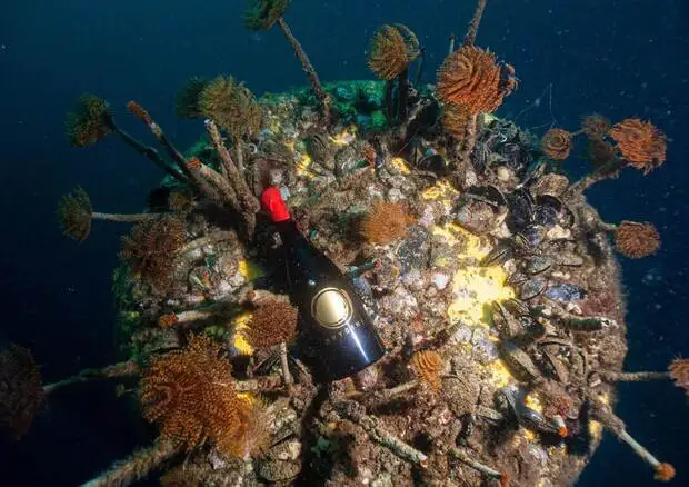Affinamento sottomarino per i vini dell&rsquo;Etna: il progetto con l&rsquo;Universit&agrave;