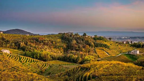 Trame di Vite, sinergie del Conegliano Valdobbiadene Prosecco Docg con il Campiello Giovani