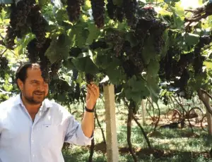 Addio a Michel Rolland, rockstar dell&rsquo;enologia