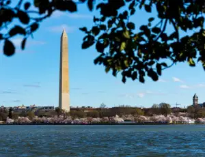 Usa e Messico concordano l&rsquo;avvio di colloqui formali sulle riforme dell&rsquo;USMCA