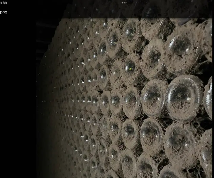 Gratis su YouTube la piattaforma di e-learning sul vino