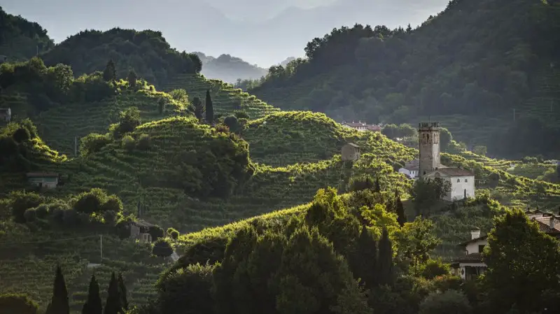 Conegliano Valdobbiadene Prosecco Superiore Docg: nel 2021 tagliato il traguardo dei 100 milioni di bottiglie