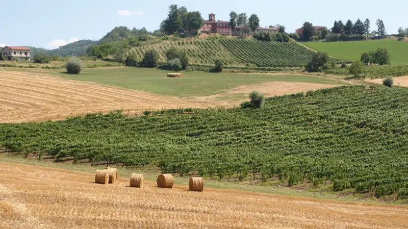 Colli Tortonesi, crescono potenziale e popolarit&agrave; del Derthona