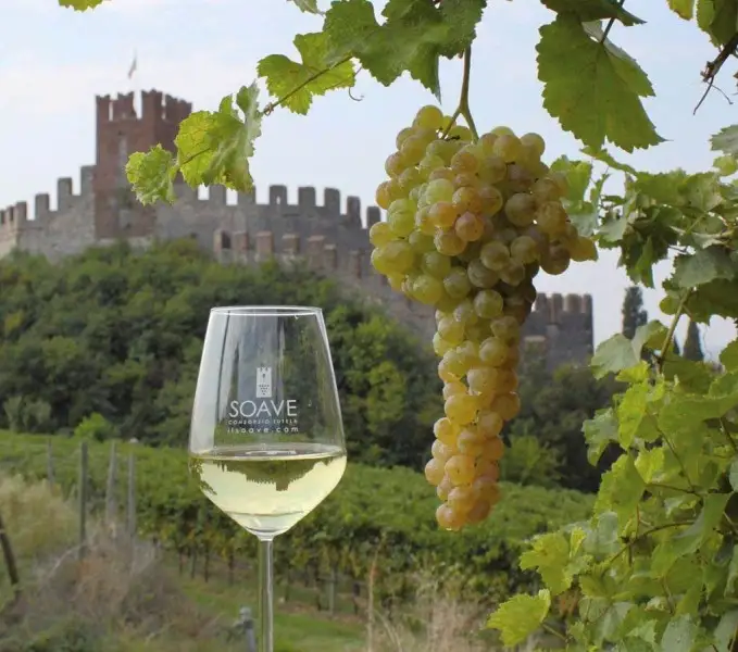 Il Soave &egrave; patrimonio dell'umanit&agrave; per l'agricoltura: &egrave; il primo legato alla viticoltura