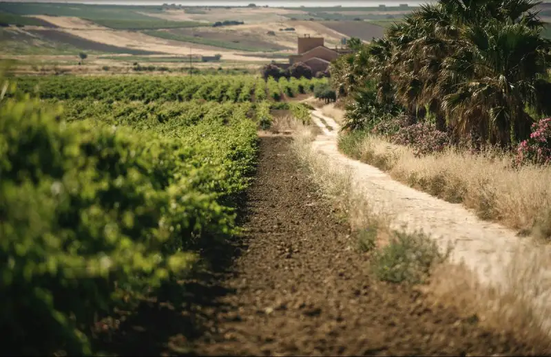 Via libera Ue al piano Pac dell&rsquo;Italia (sostegni per 35 miliardi)