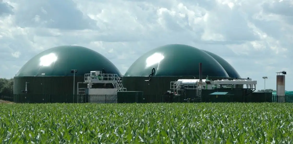 Biogas agricolo, nuovo impulso dal Dl &ldquo;taglia-prezzi&rdquo;