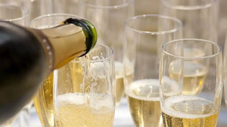 Il Consorzio di Tutela del Conegliano Valdobbiadene Prosecco Docg lancia Green Academy e Wine Tourism Lab